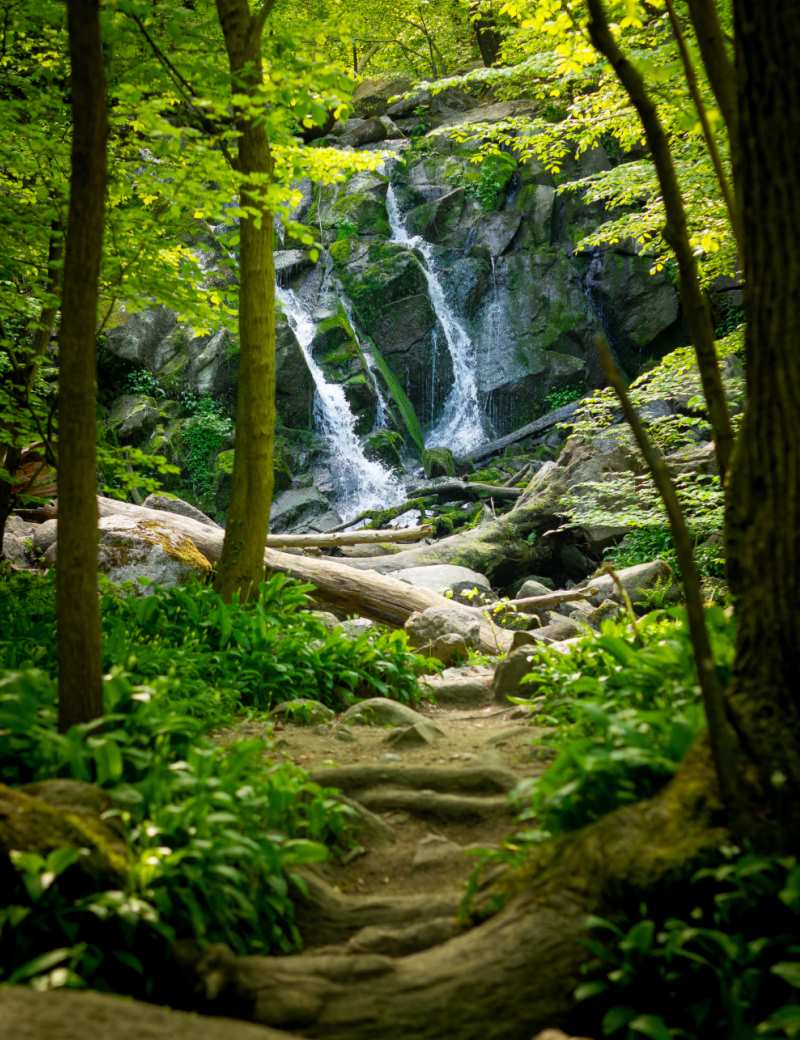 Døndalen på Bornholm